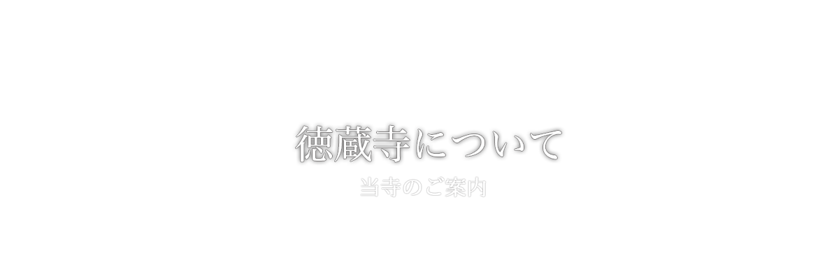 徳蔵寺について