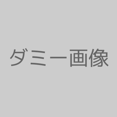 その他の見どころ①